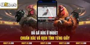 Đá gà AOG