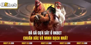 Đá gà cựa sắt