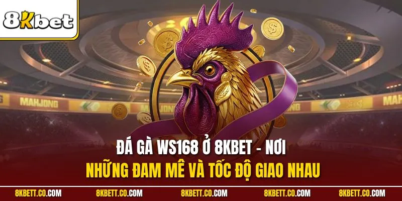Đá gà Ws168