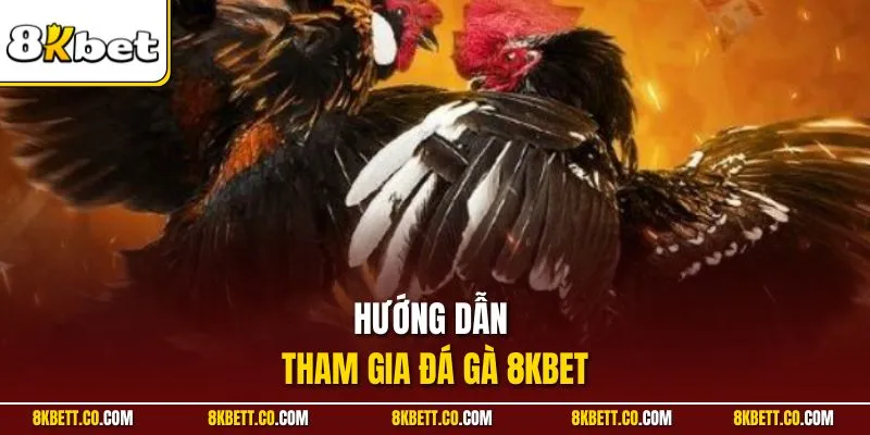 Hướng dẫn tham gia đá gà 8KBET