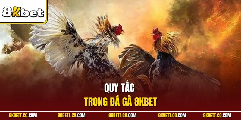 Quy tắc trong đá gà 8KBET