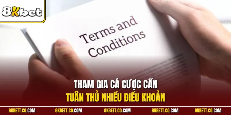 Tham gia cá cược cần tuân thủ nhiều điều khoản